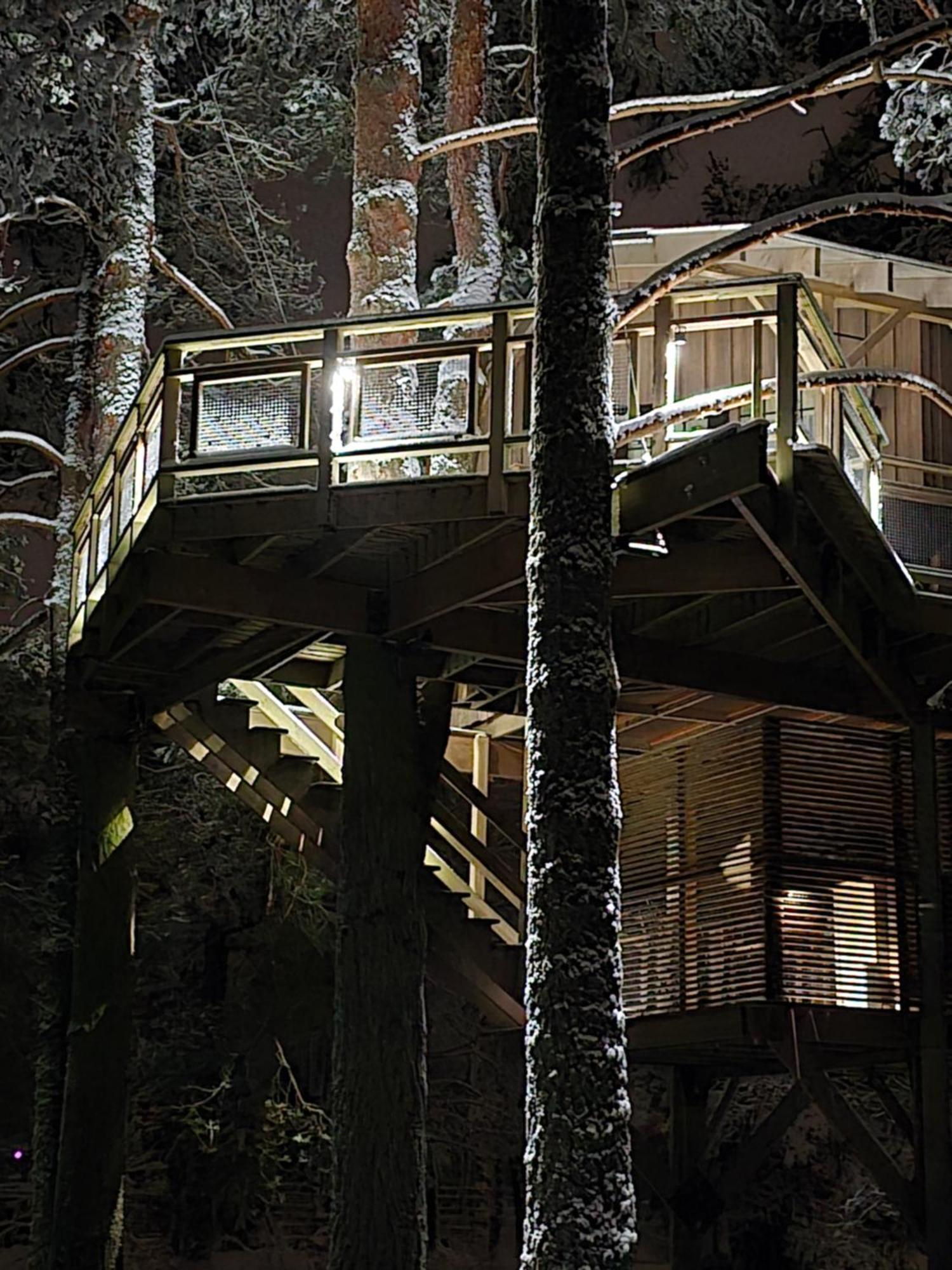 Treehouse Ciekurs Vila Dukuri Exterior foto