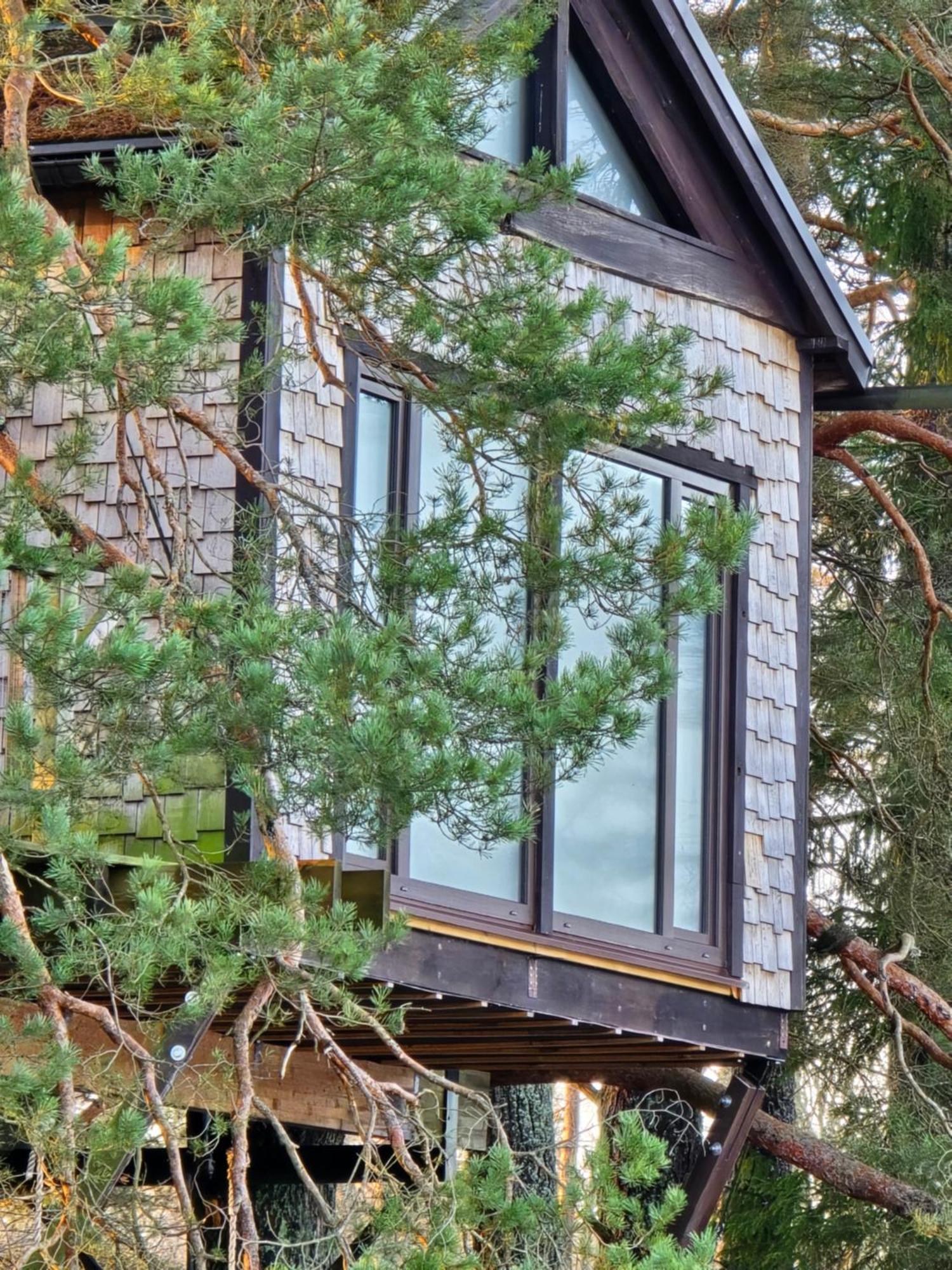 Treehouse Ciekurs Vila Dukuri Exterior foto